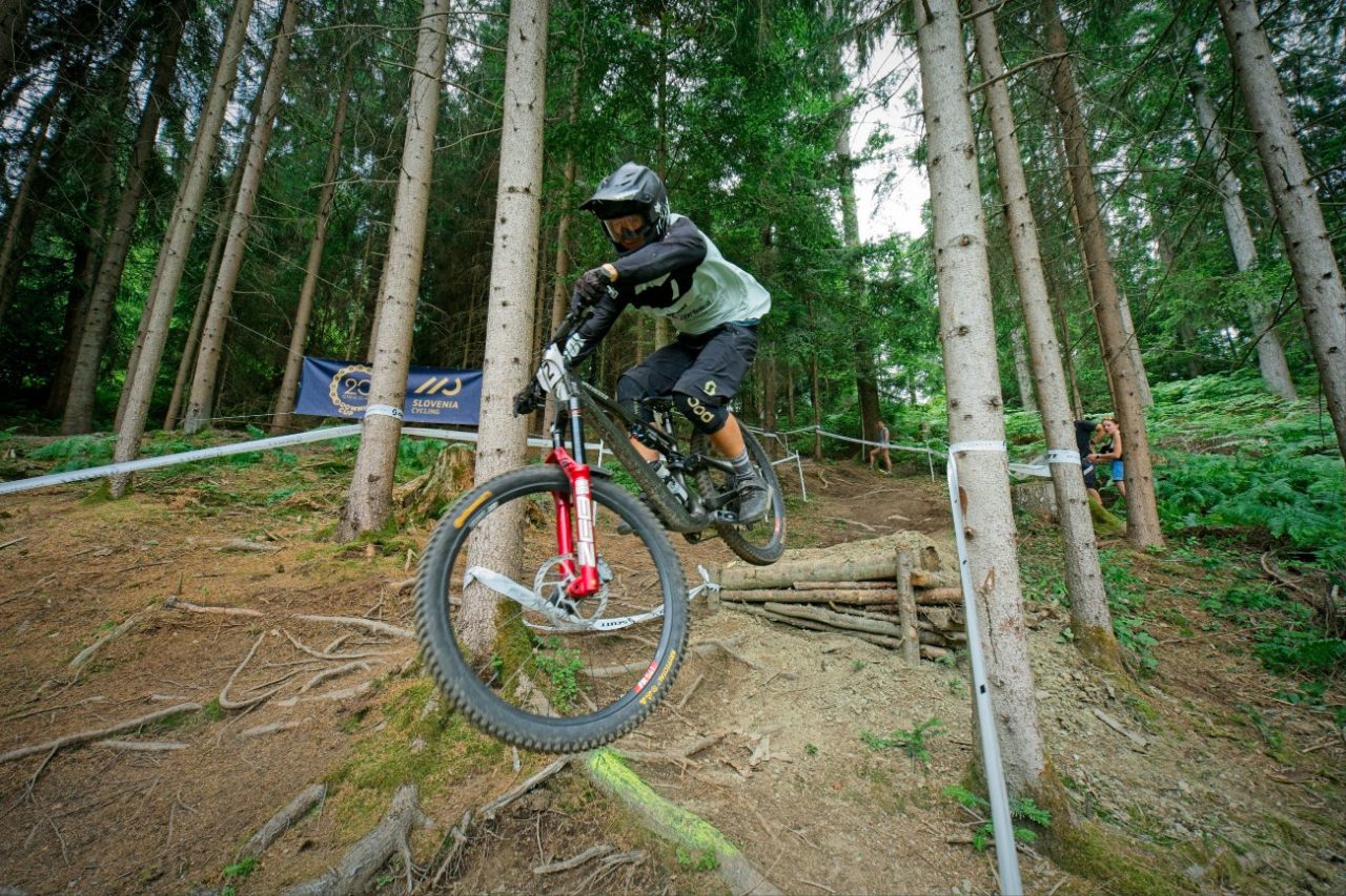 maks struna